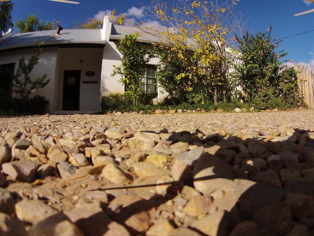 The Olive Thrush Cottage Prince Albert Esterno foto